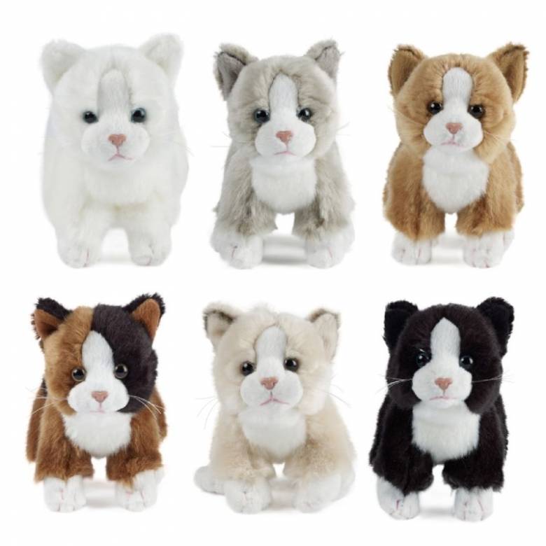 Small Cat Soft Toy 0+