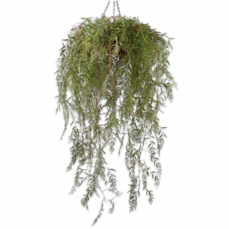 Small Faux Trailing Plant In Hanging Basket