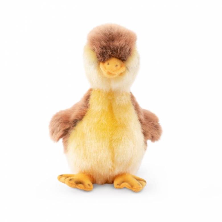 Small Mallard Duckling Soft Toy 0+