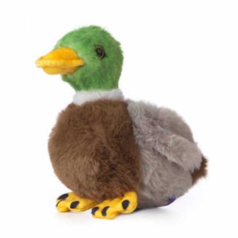 Smols Mallard Duck Soft Toy - Made From Recycled Plastic 0+