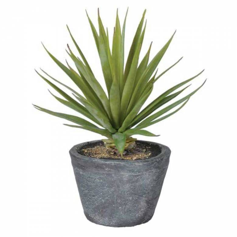 Spikey Faux Airplant in Cement Pot