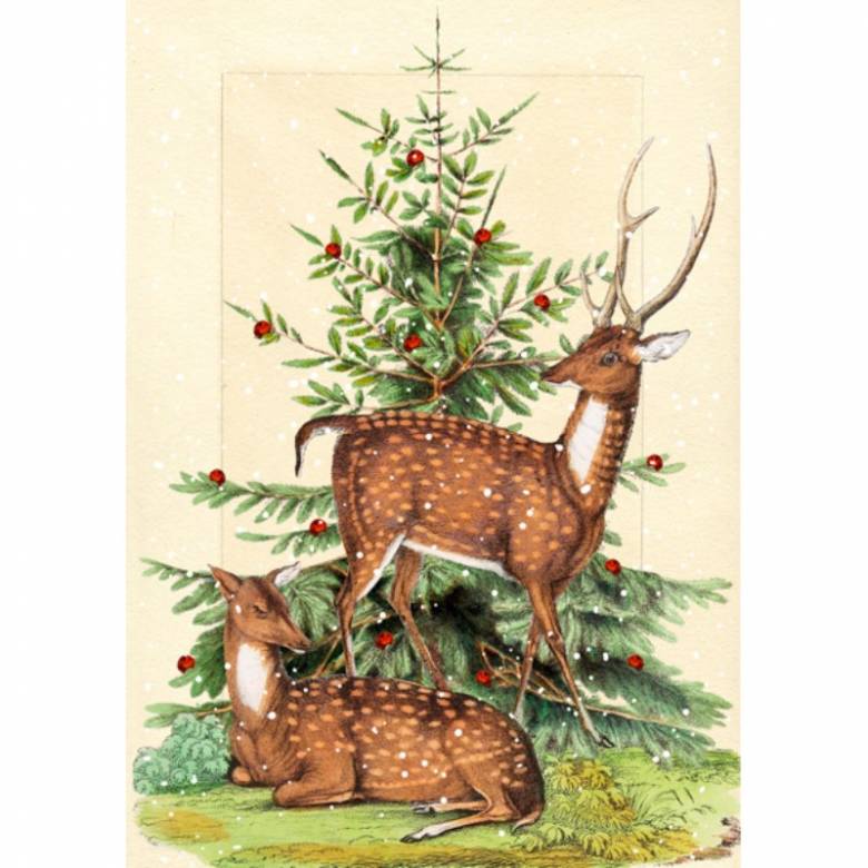 Stag & Deer - Single Christmas Card