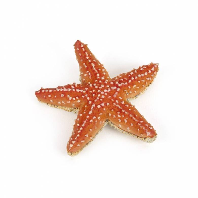 Starfish - Papo Wild Animal Figure