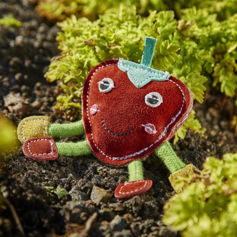 Steve The Strawberry Eco Pet Toy