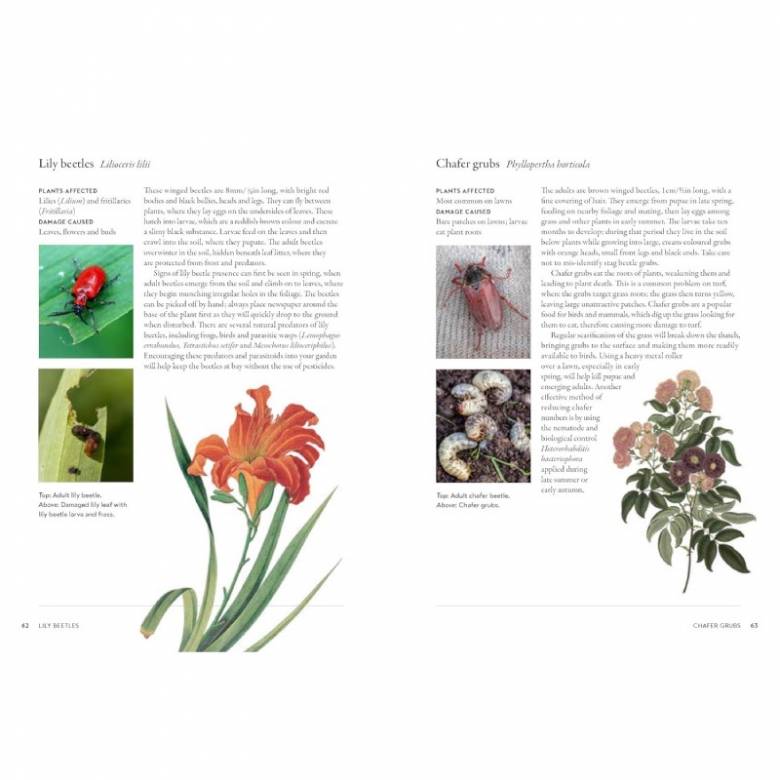 The Gardener's Companion To Pests & Diseases - Hardback Book