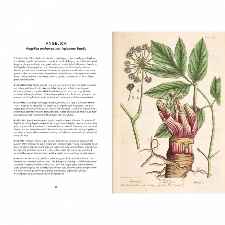 The Heritage Herbal - Hardback Book