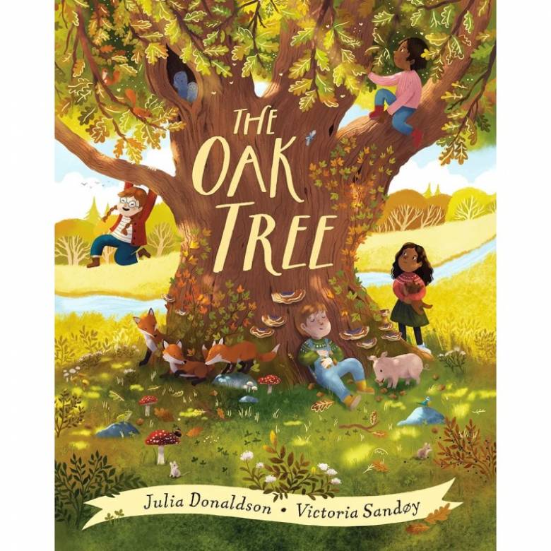 The Oak Tree By Julia Donaldson - Hardback Book