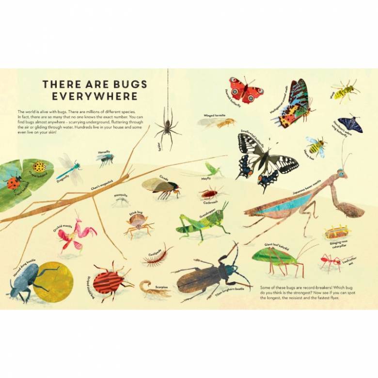 There are Bugs Everywhere - Paperback Book