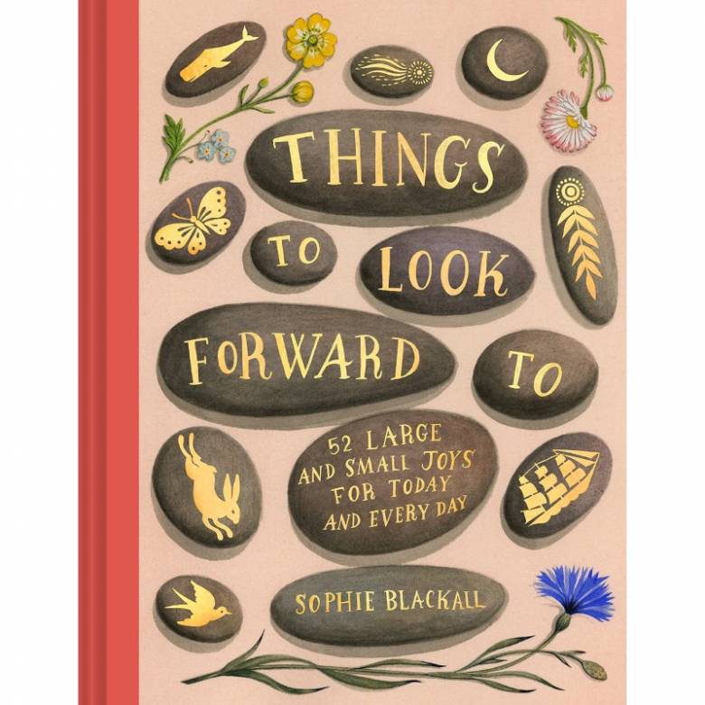 Things To Look Forward To By Sophie Blackall - Hardback Book