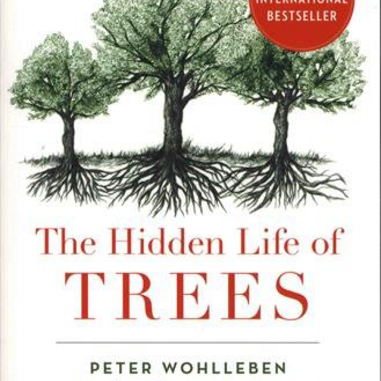 The Hidden Life Of Trees Paperback Book