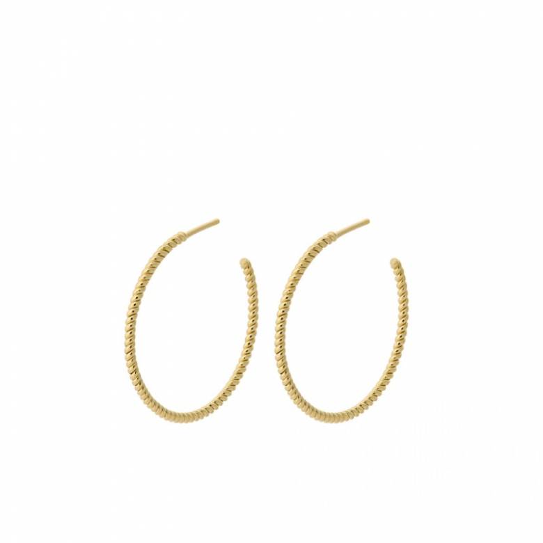 Twisted Creole Hoop Earrings In Gold By Pernille Corydon