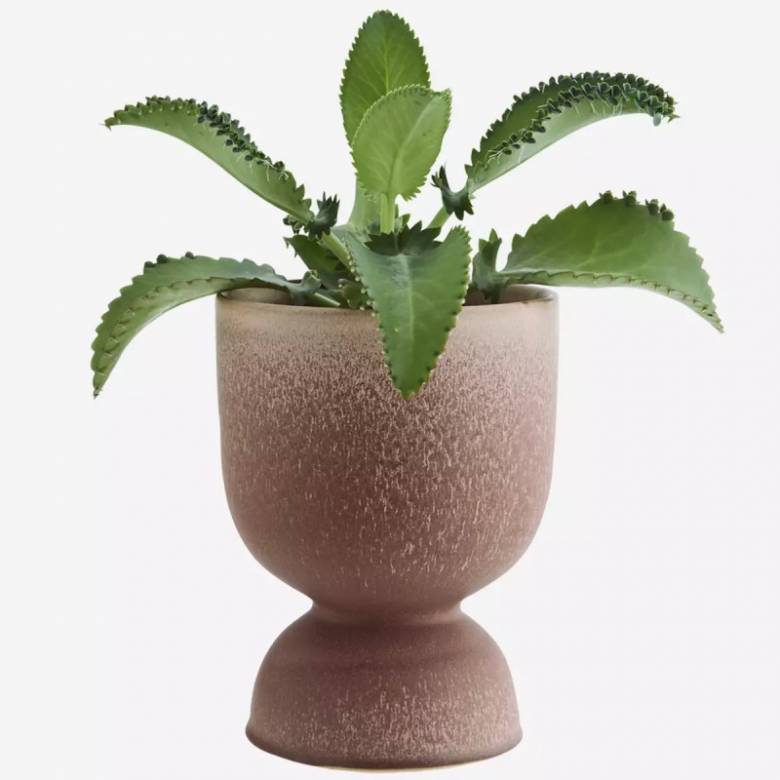 Urn Shaped Flower Pot On Plinth In Powder Brown H:23cm