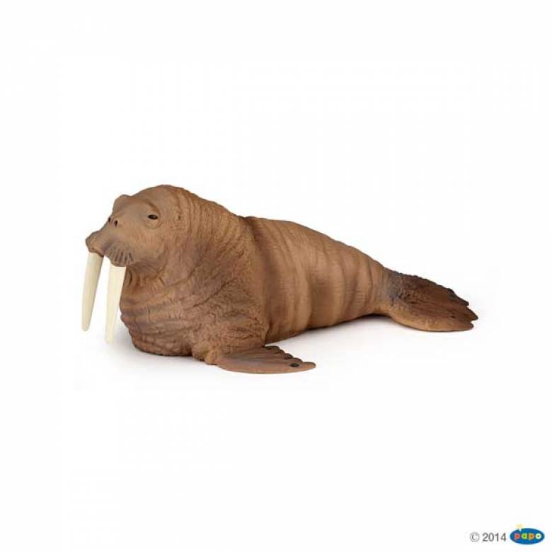 Walrus - Papo Wild Animal Figure