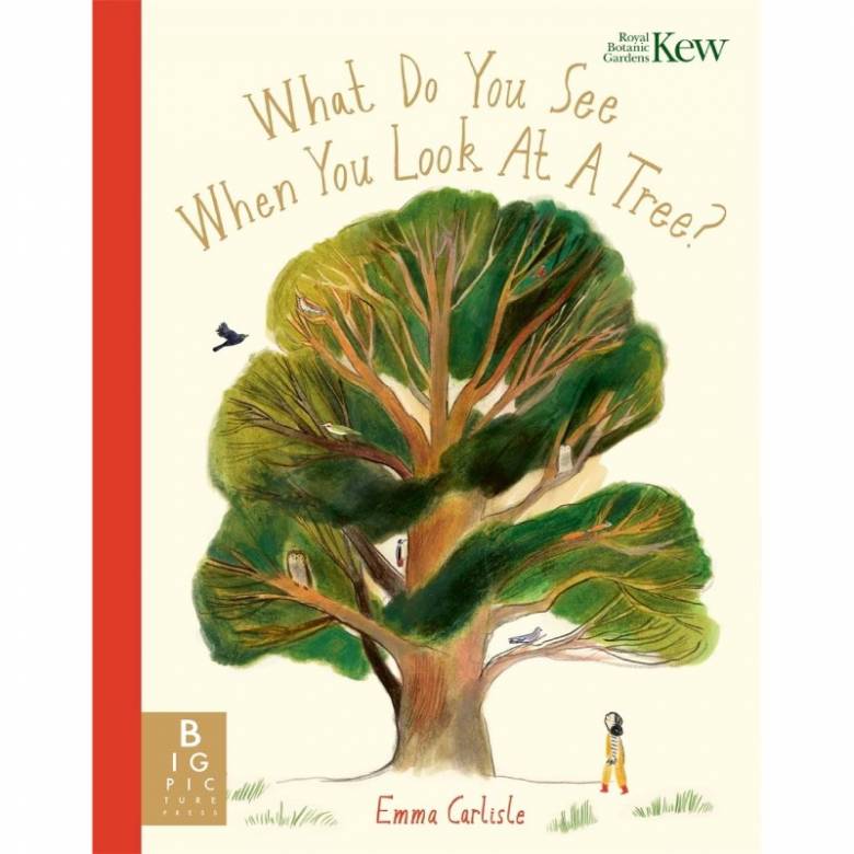 What Do You See When You Look At A Tree? - Paperback Book