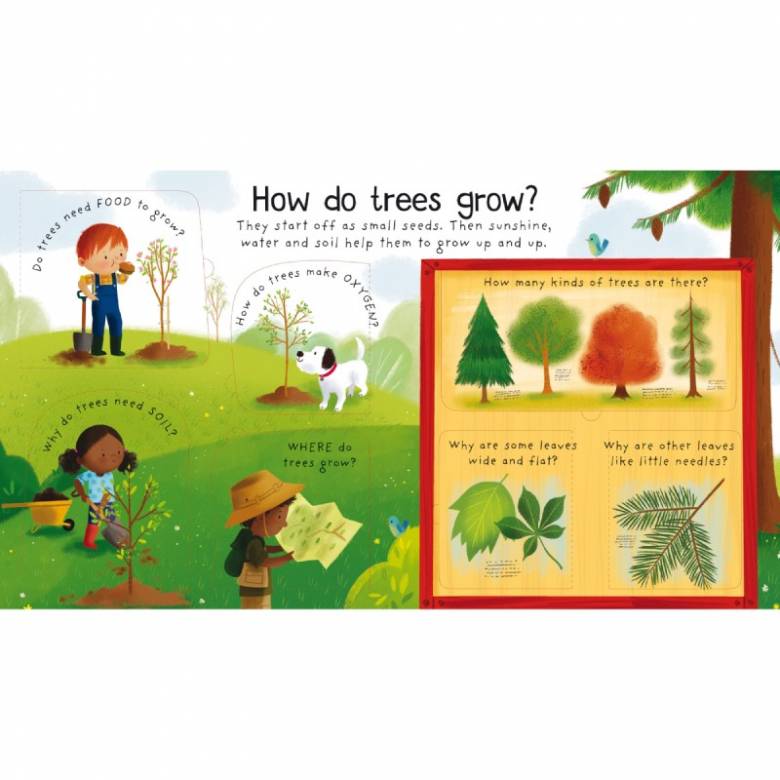 Why Do We Need Trees? - Lift The Flap Board Book