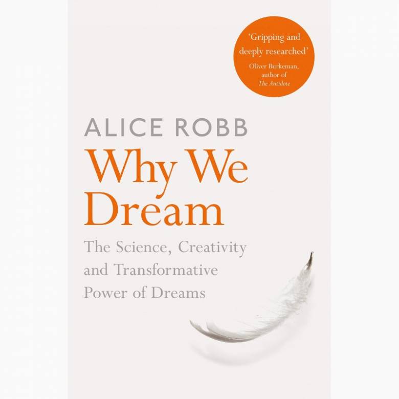 Why We Dream - Paperback Book