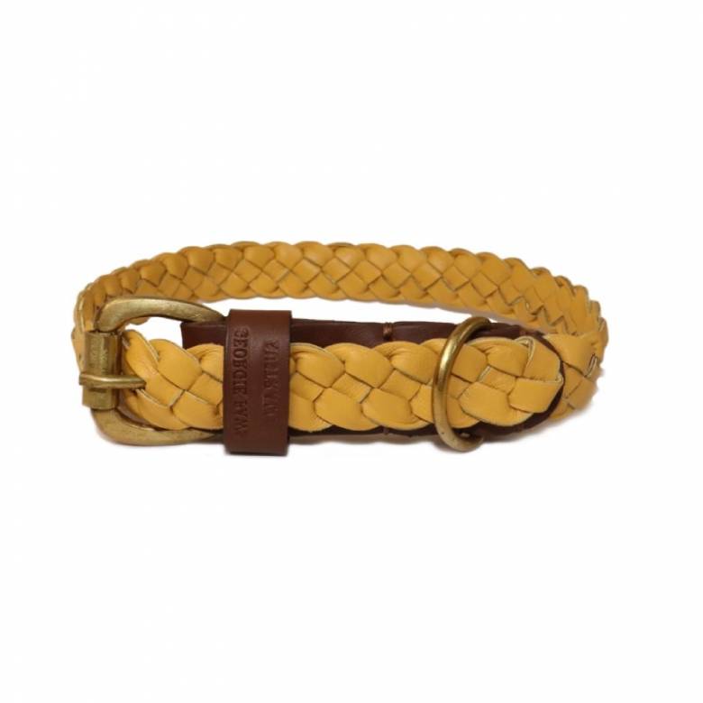 Windsor Leather Dog Collar In Wheat - Medium