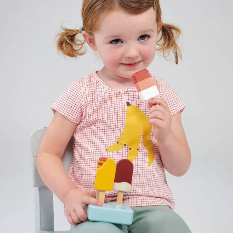 Wooden Sunny Ice Lolly Stand Play Food 2+