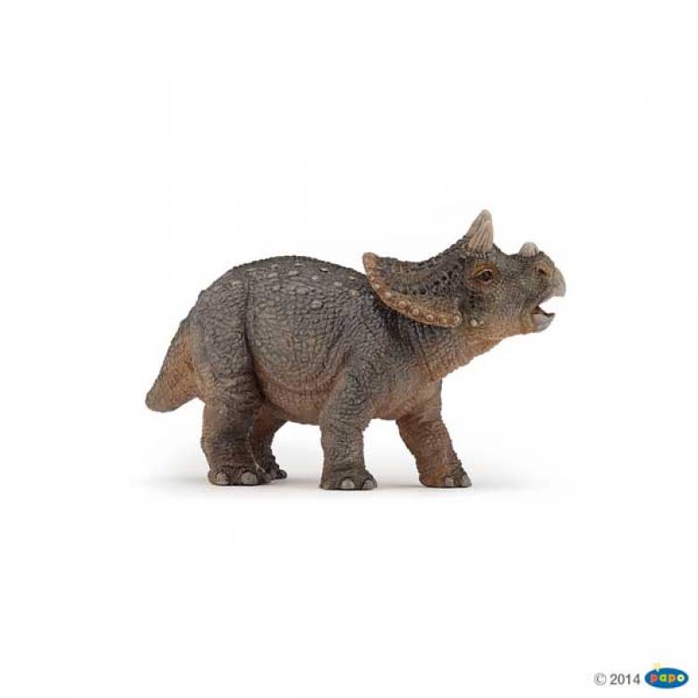 Baby Triceratops - Papo Dinosaur Figure